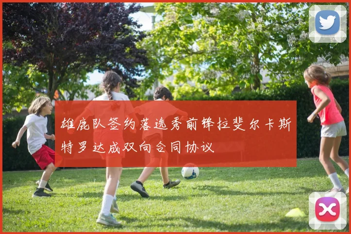 雄鹿队签约落选秀前锋拉斐尔卡斯特罗达成双向合同协议