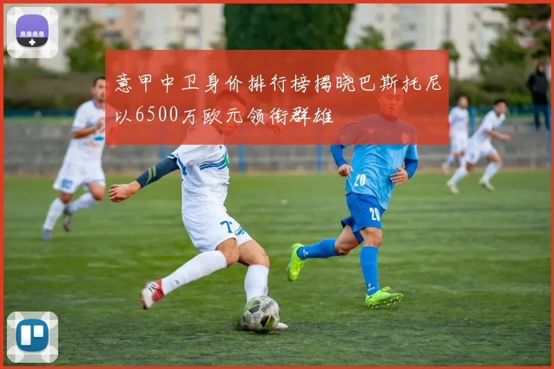 意甲中卫身价排行榜揭晓巴斯托尼以6500万欧元领衔群雄